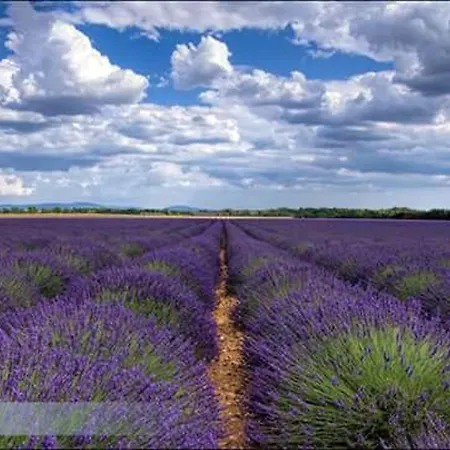 Holiday home Maison Conviviale Avec Jardin A Revest-Des-Brousses Galijasevici